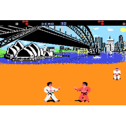 International Karate Enhanced Edition (xe/win)